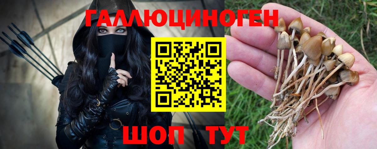 Дербент  Псилоцибиновые грибы мицелий  Галлюциногенные грибы Psilocybine cubensis  Вход с VPN 